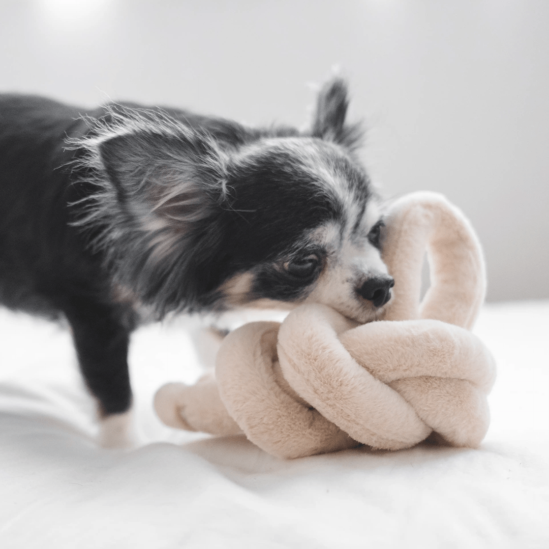 NOUNOUNOU PEARL - PRECIOUS PET