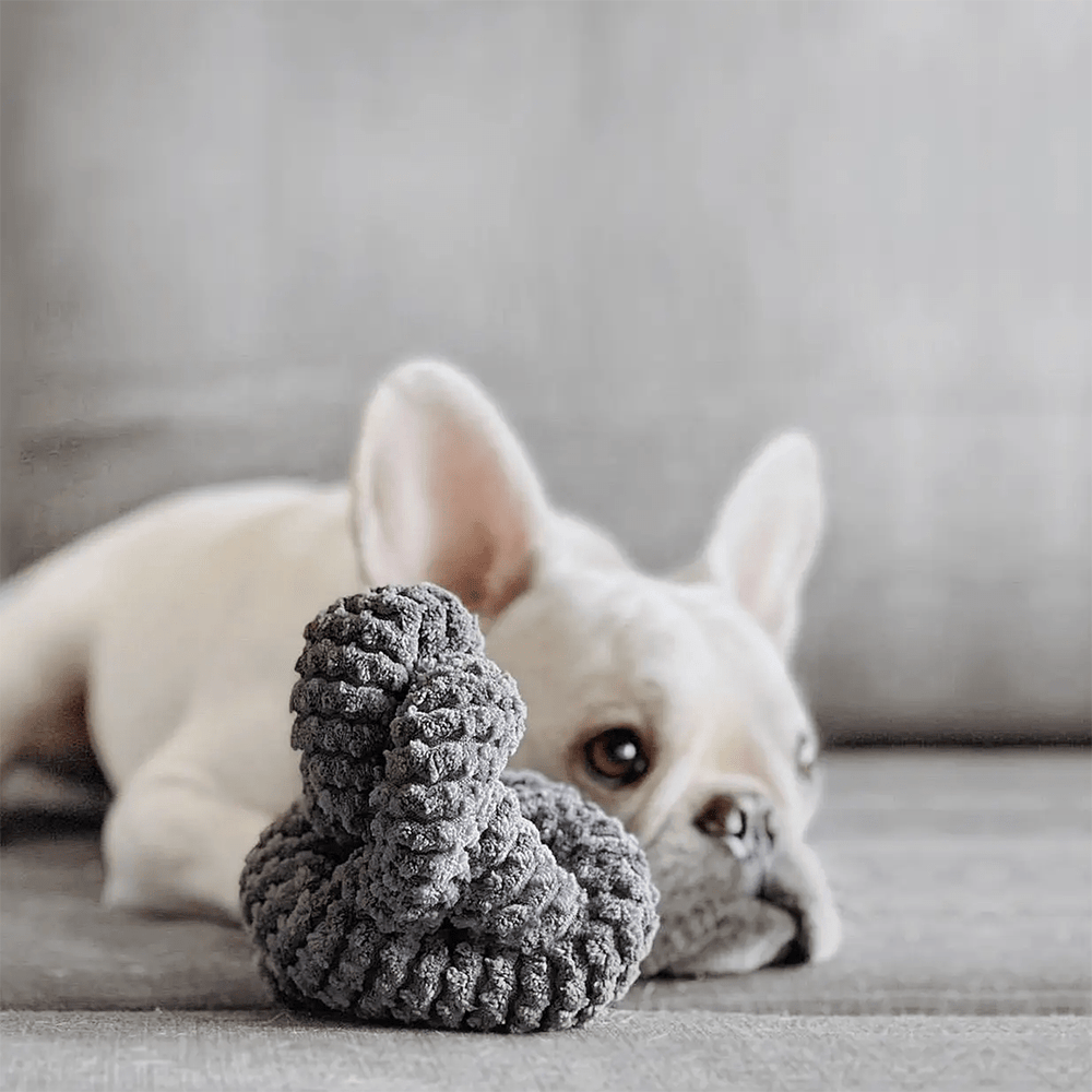 NOUNOUNOU SLATE CORDUROY - PRECIOUS PET