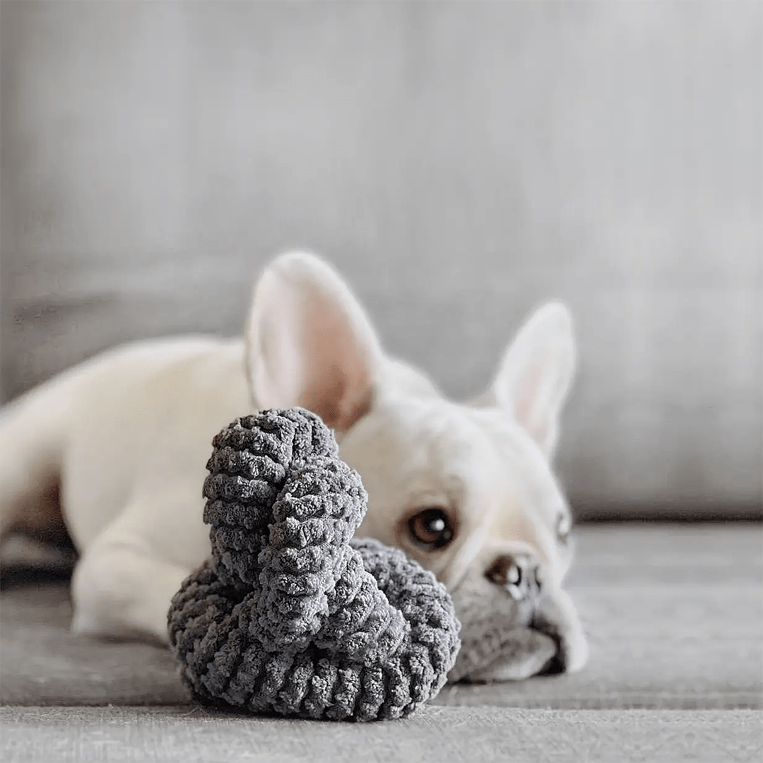 NOUNOUNOU SLATE CORDUROY - PRECIOUS PET