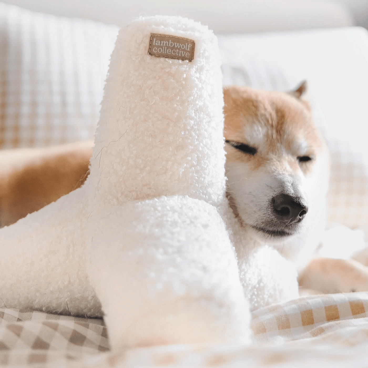 O BREUER CREAM - PRECIOUS PET