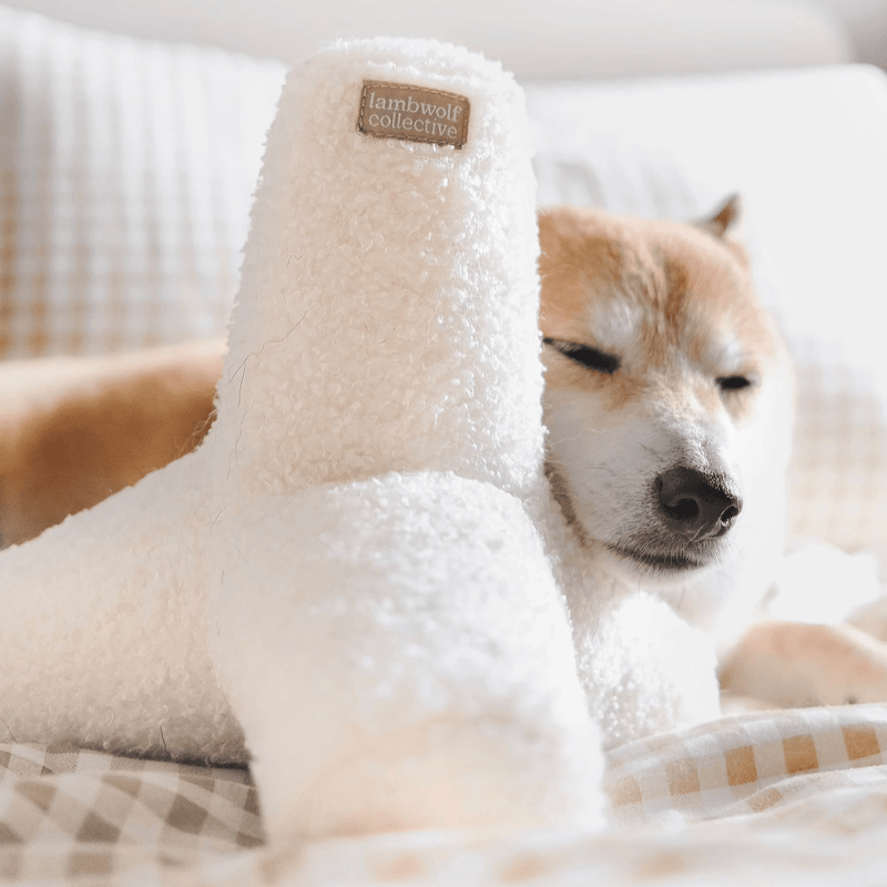 O BREUER CREAM - PRECIOUS PET