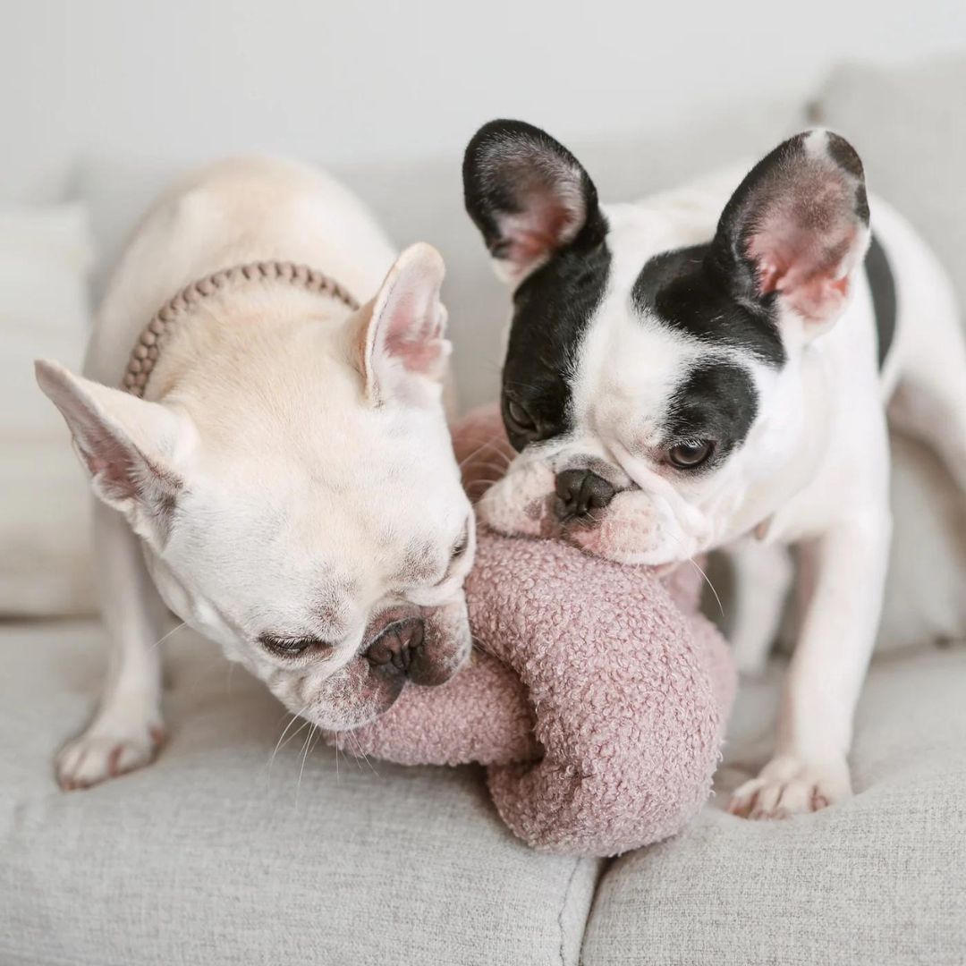 O NOU MAUVE - PRECIOUS PET