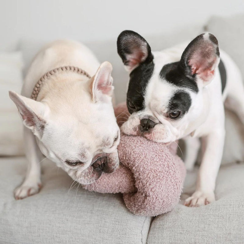 O NOU MAUVE - PRECIOUS PET