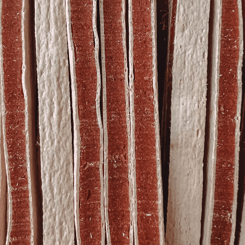 PIVO FISHY CHICKEN SANDWICH - PRECIOUS PET