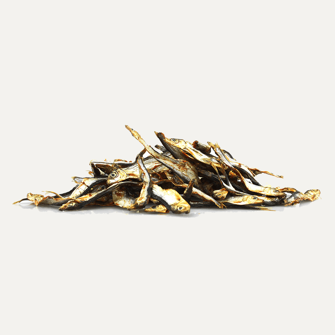 PIVO FISHY DELISHY - PRECIOUS PET