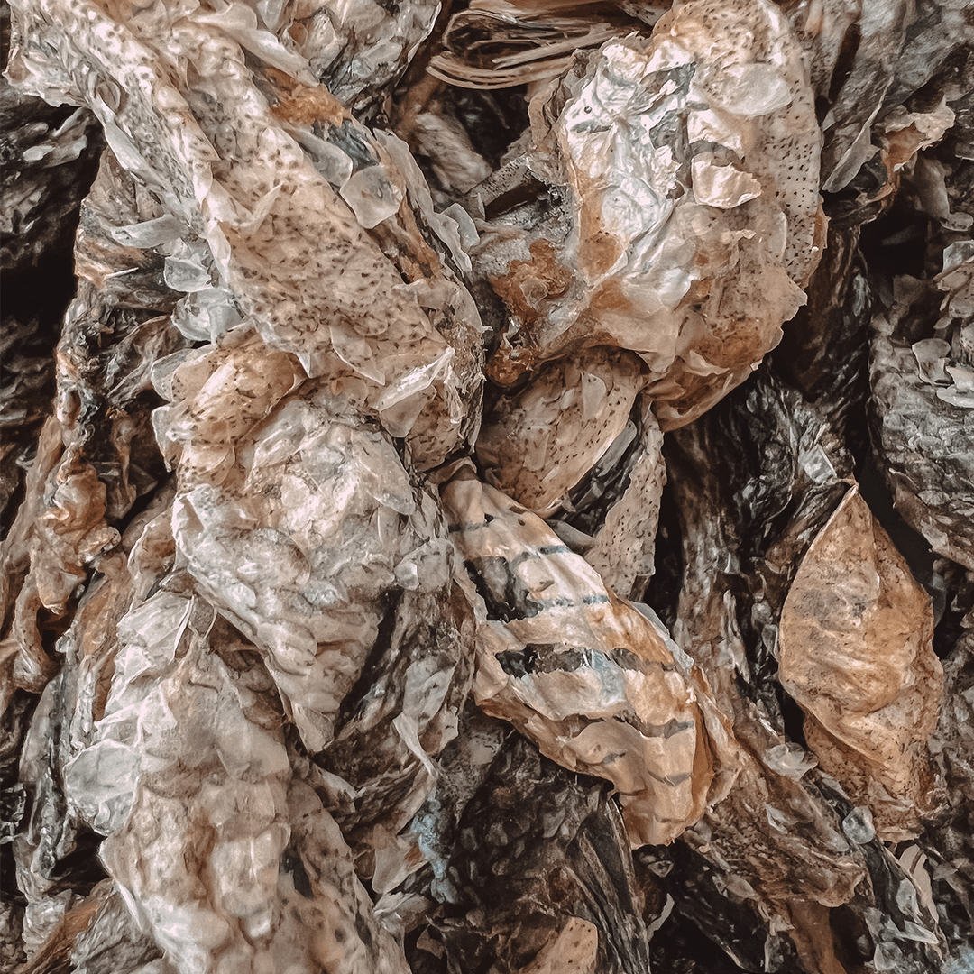 PIVO FISHY DELISHY TWISTY - PRECIOUS PET