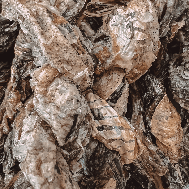 PIVO FISHY DELISHY TWISTY - PRECIOUS PET