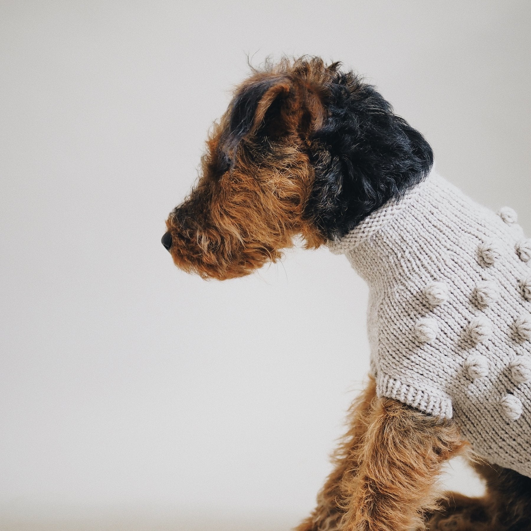 POMPONY SWEATER BEIGE - PRECIOUS PET