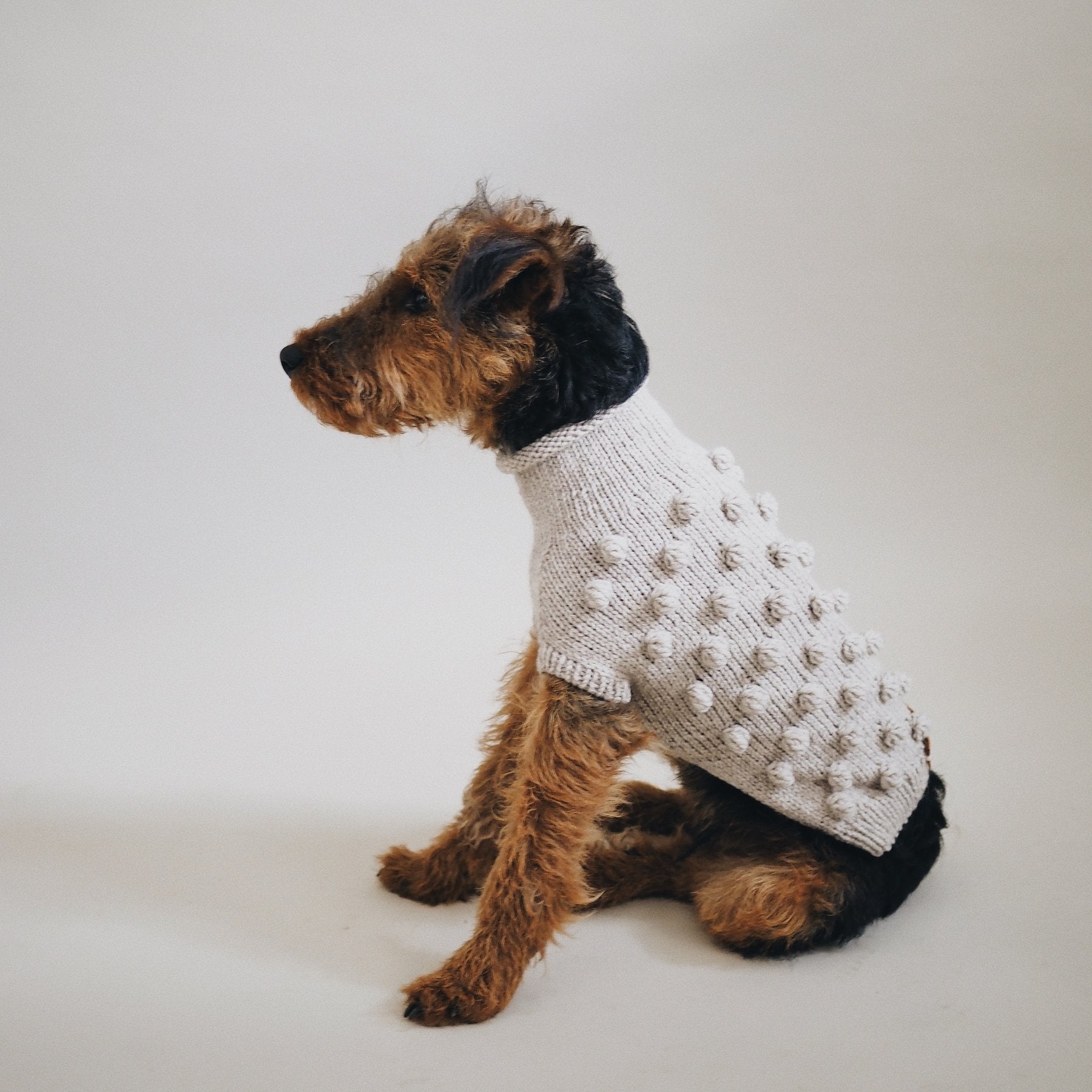 POMPONY SWEATER BEIGE - PRECIOUS PET