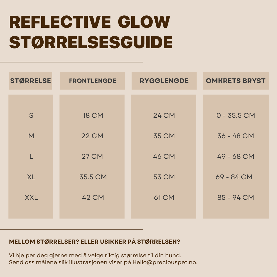 REFLECTIVE GLOW JACKET - PRECIOUS PET
