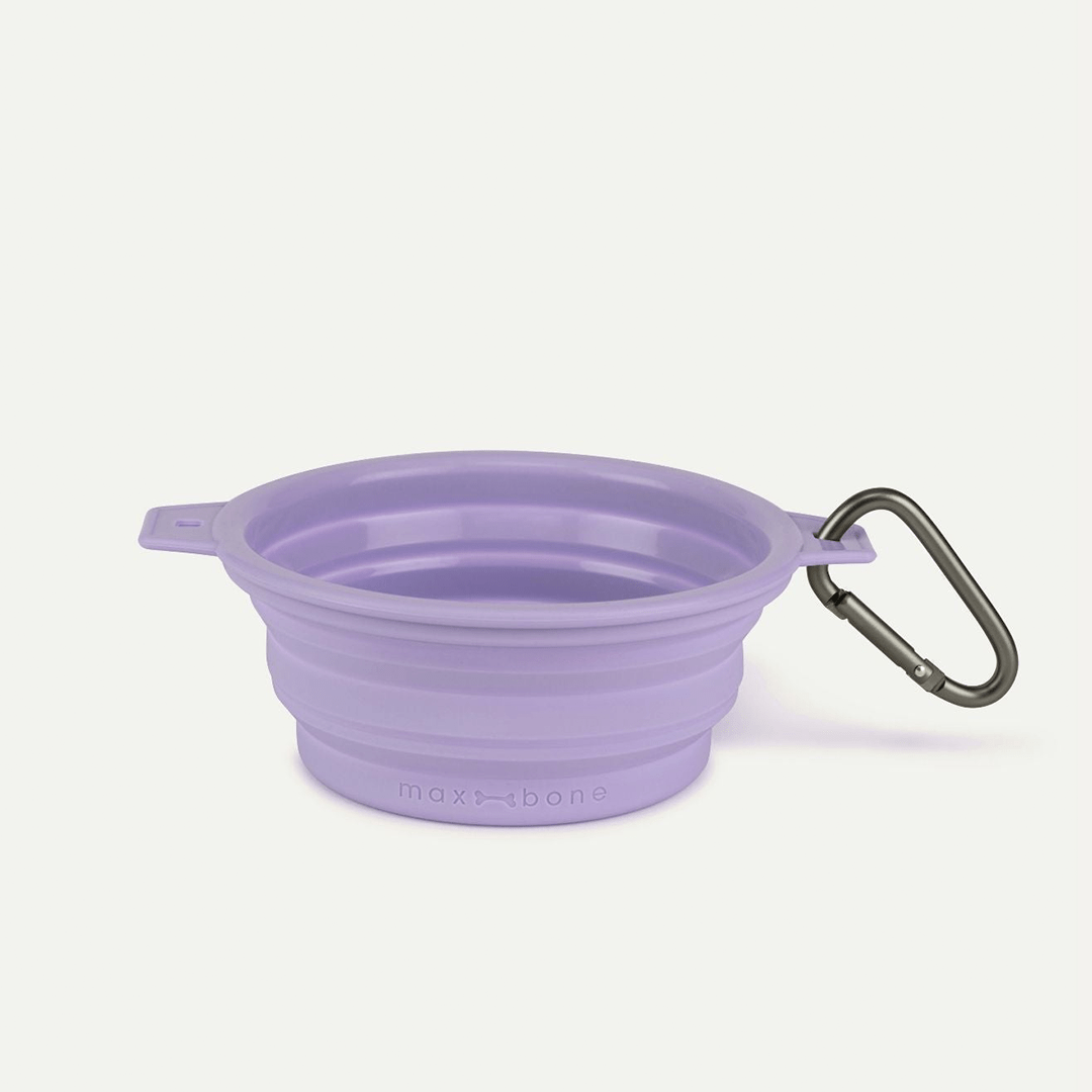 RUBBER TRAVEL BOWL LAVENDEL - PRECIOUS PET