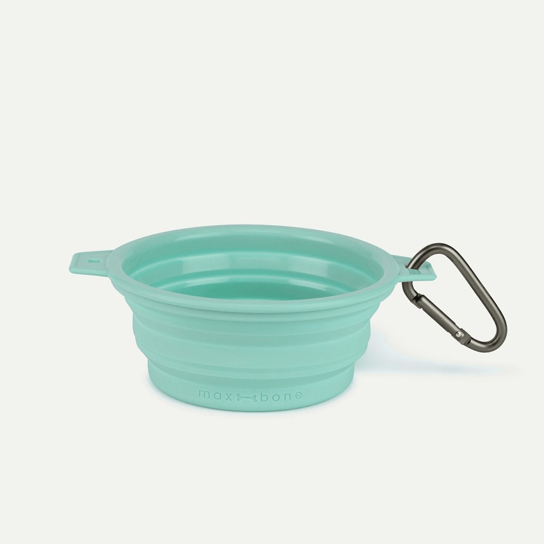 RUBBER TRAVEL BOWL MINT - PRECIOUS PET