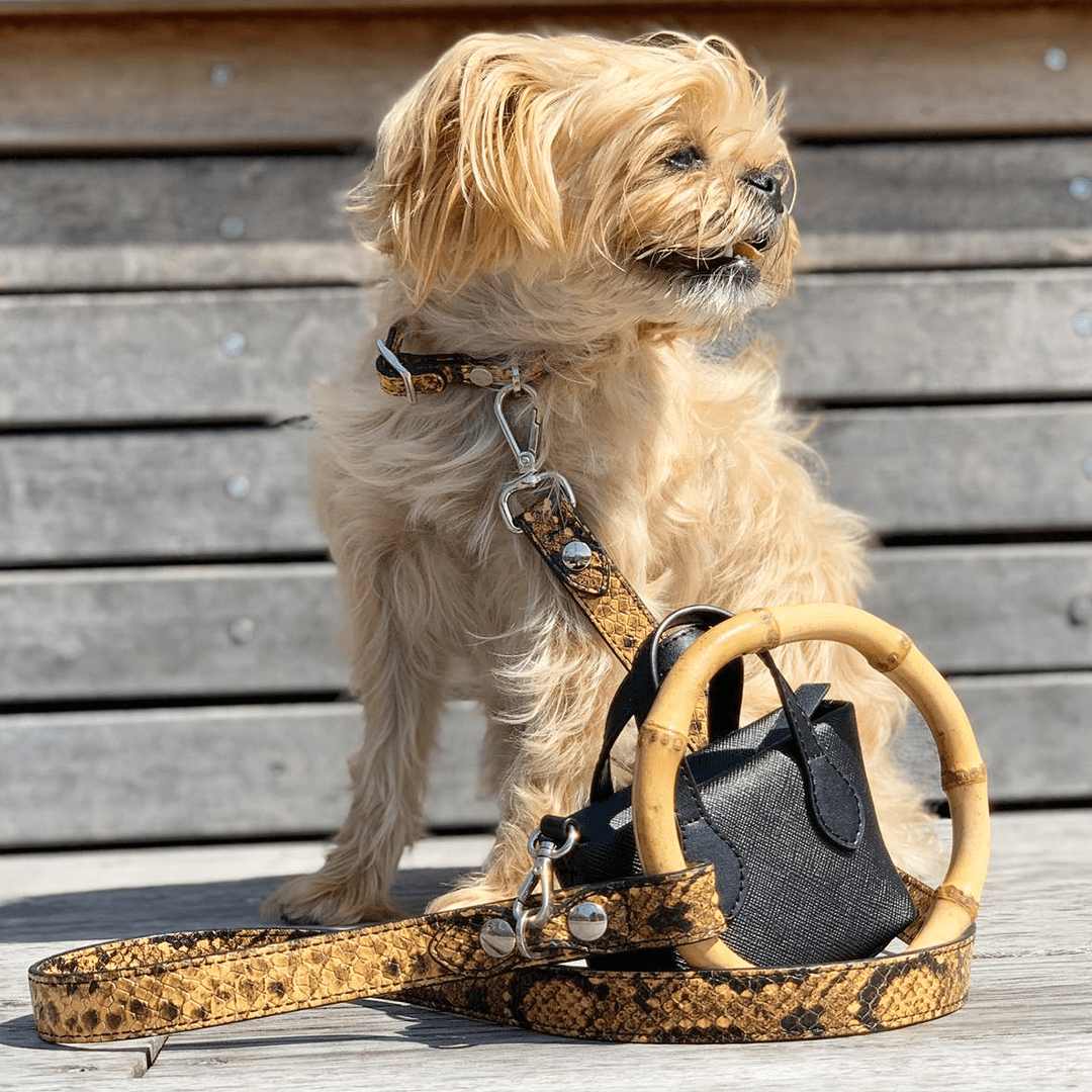 SASHA LEASH YELLOW & BLACK - PRECIOUS PET