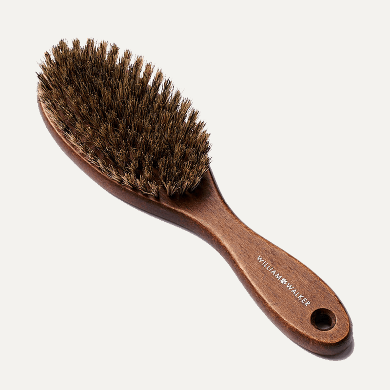 SHORT HAIR BRUSH - PRECIOUS PET