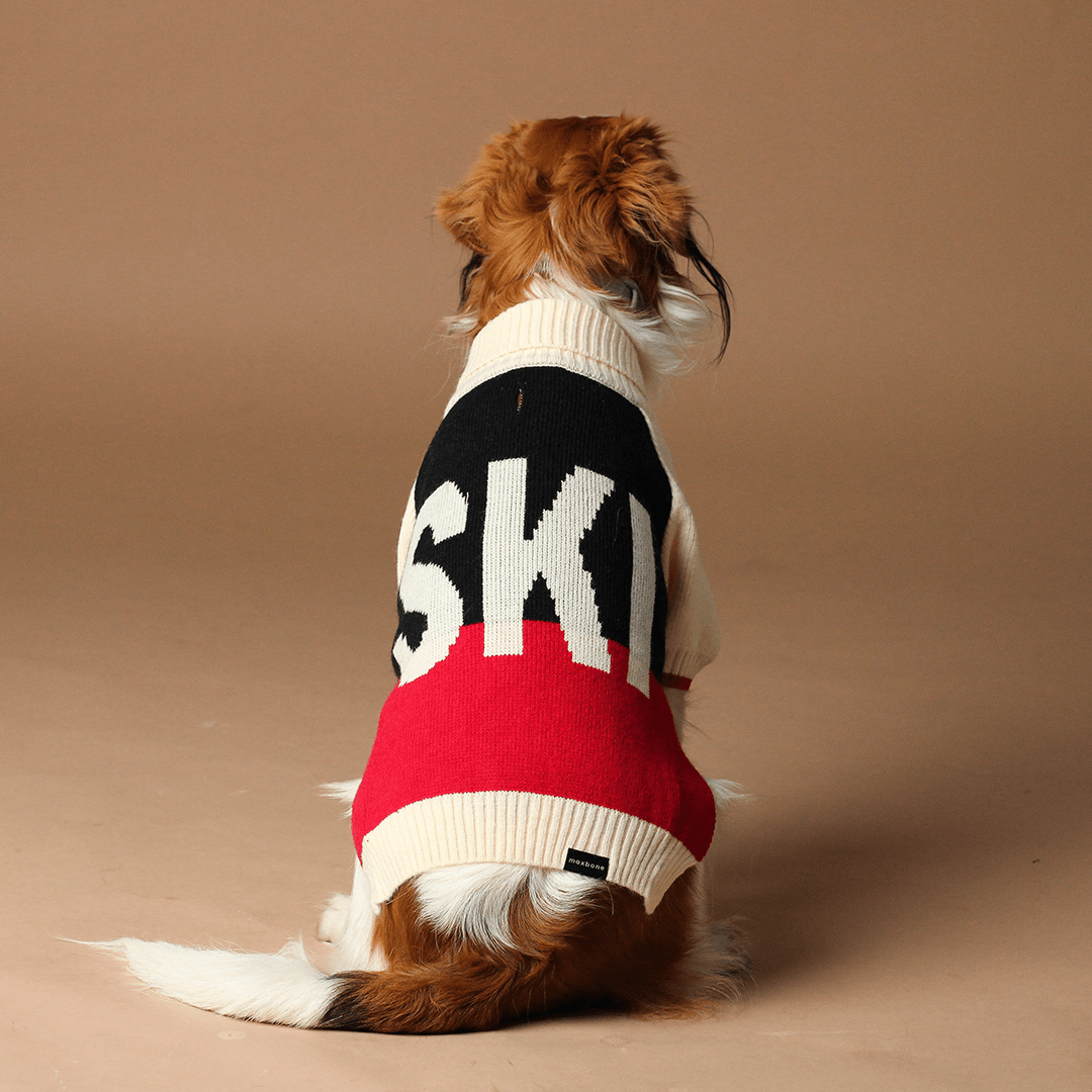 SKI RAGLAN SLEEVE JUMPER - PRECIOUS PET