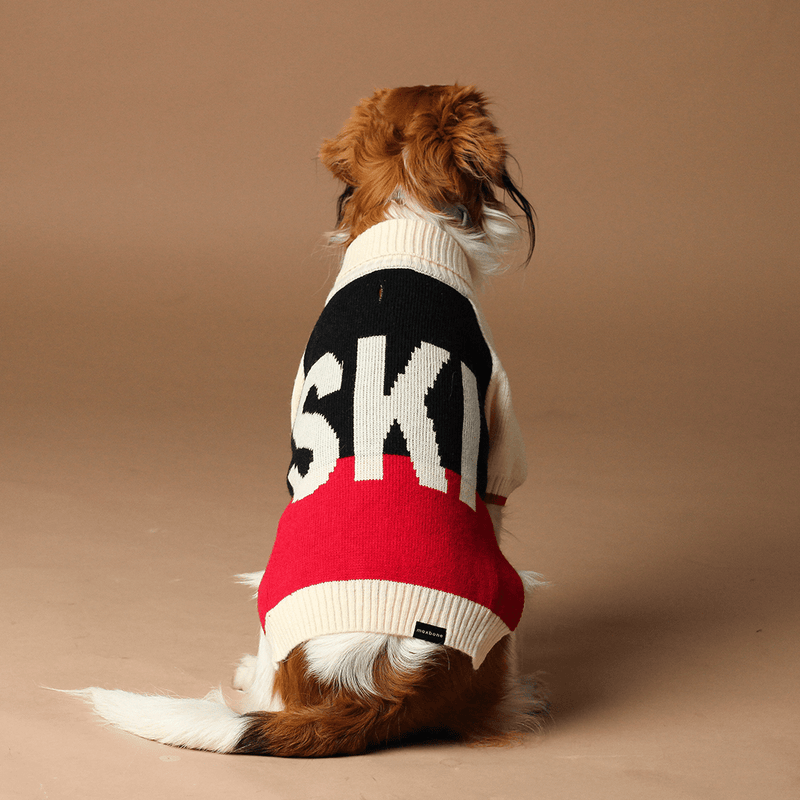 SKI RAGLAN SLEEVE JUMPER - PRECIOUS PET