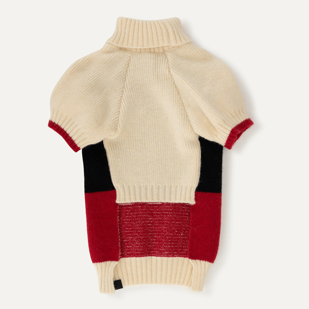 SKI RAGLAN SLEEVE JUMPER - PRECIOUS PET