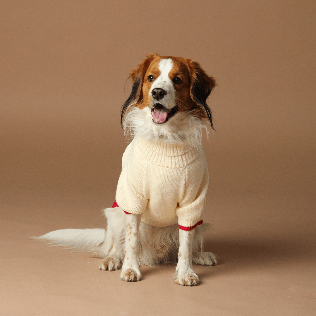 SKI RAGLAN SLEEVE JUMPER - PRECIOUS PET