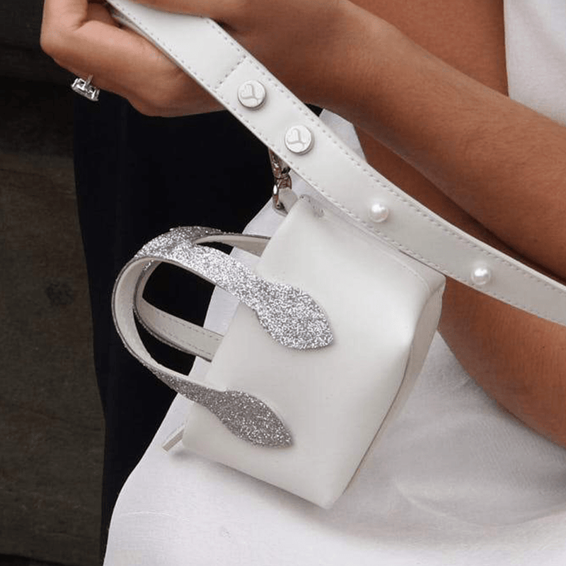 SLOANE CLEAN UP PURSE - PRECIOUS PET