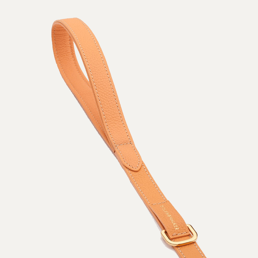 SMALL CITY LEASH ORANGE - PRECIOUS PET