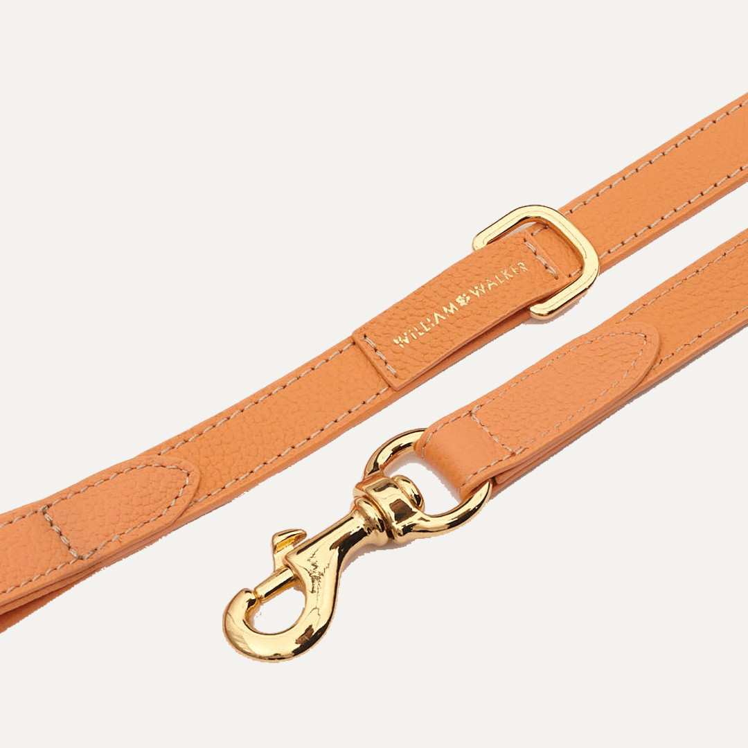 SMALL CITY LEASH ORANGE - PRECIOUS PET