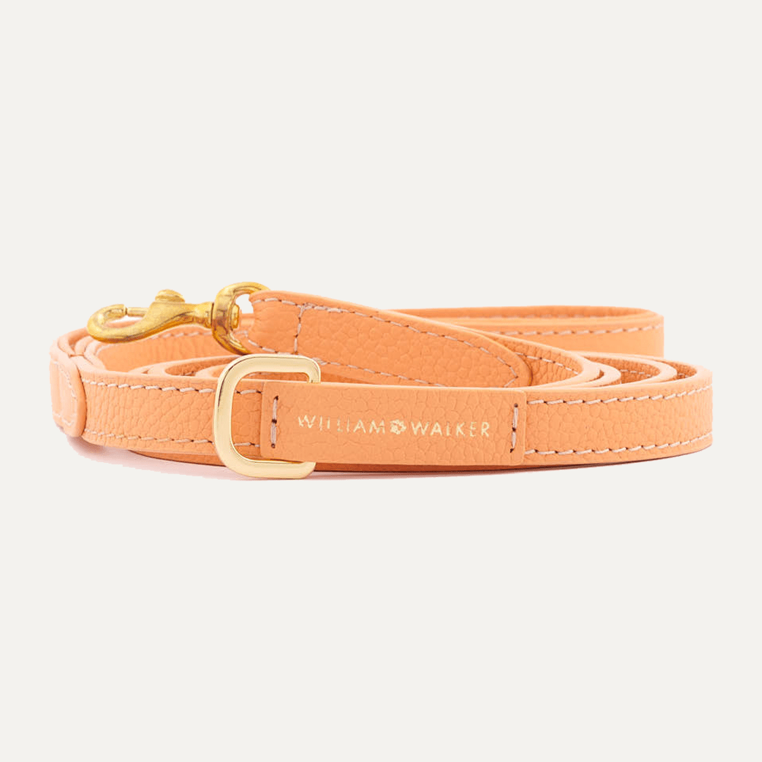 SMALL CITY LEASH ORANGE - PRECIOUS PET