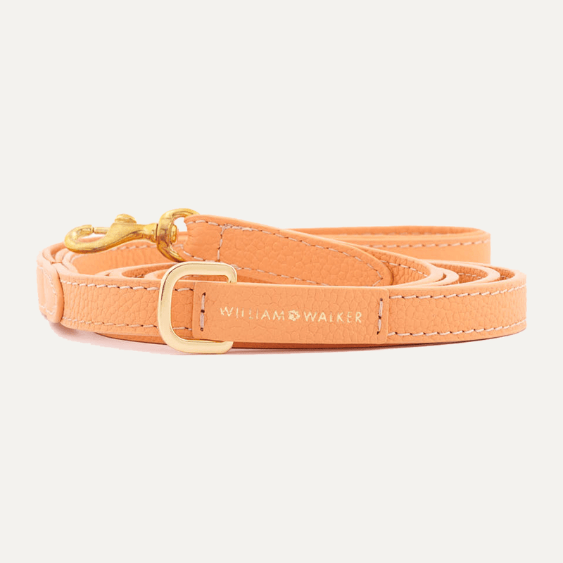 SMALL CITY LEASH ORANGE - PRECIOUS PET