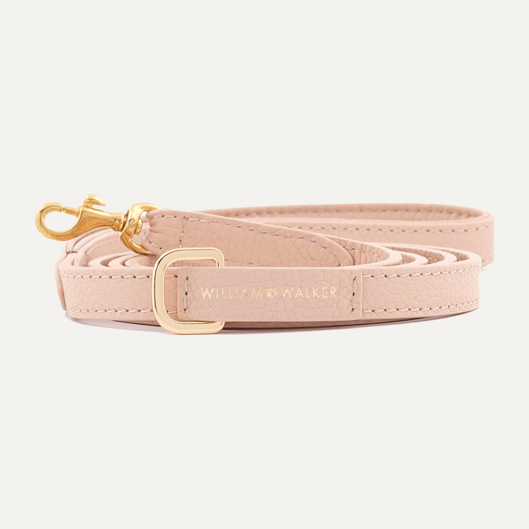 SMALL CITY LEASH ROSE - PRECIOUS PET