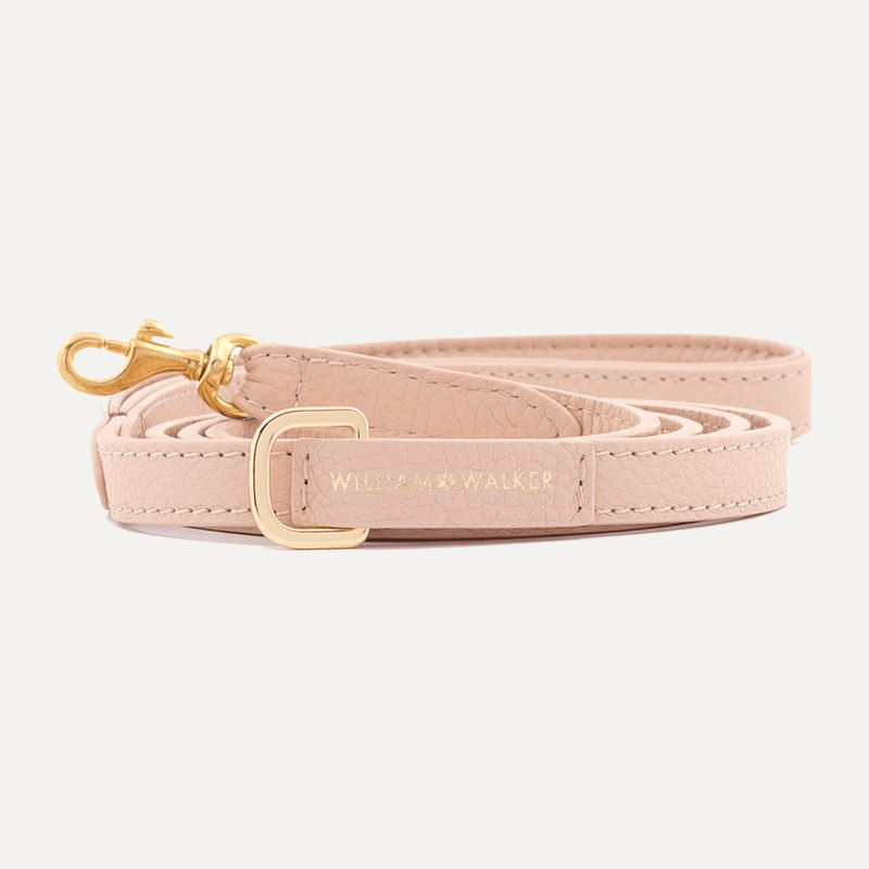 SMALL CITY LEASH ROSE - PRECIOUS PET