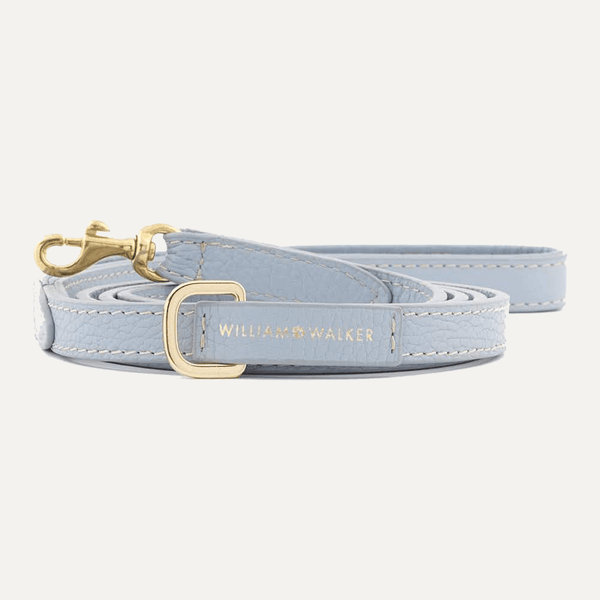 SMALL CITY LEASH SKY - PRECIOUS PET