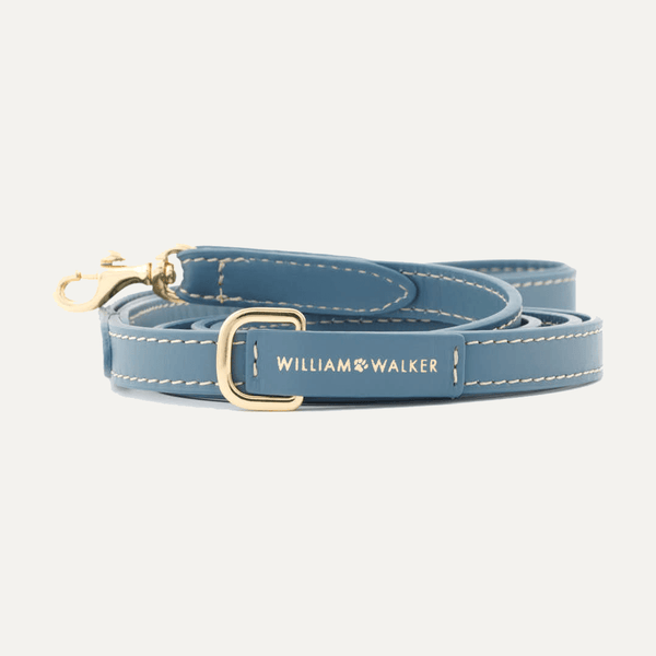 SMALL CITY LEASH SMOOTH OCEAN - PRECIOUS PET