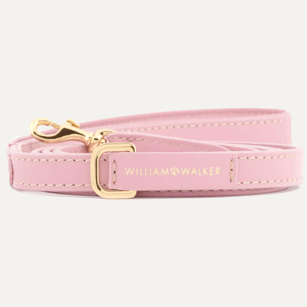 SMALL CITY LEASH SMOOTH ROSE - PRECIOUS PET