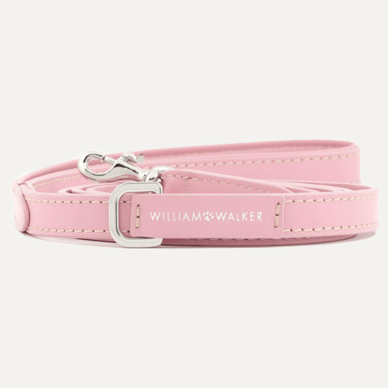 SMALL CITY LEASH SMOOTH ROSE - PRECIOUS PET