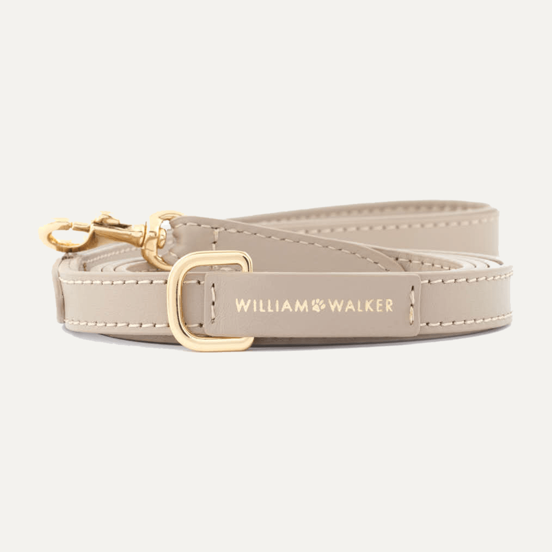 SMALL CITY LEASH SMOOTH SAND - PRECIOUS PET