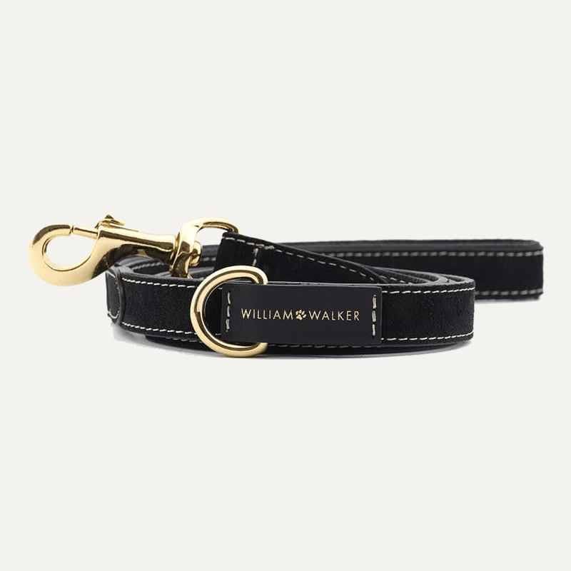 SMALL CITY SUEDE LEASH ROYAL BLACK - PRECIOUS PET