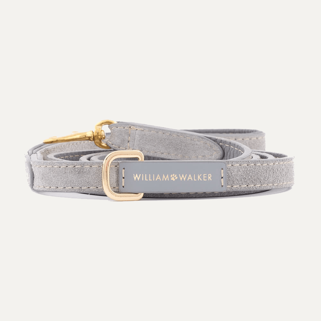 SMALL CITY SUEDE LEASH SEA SALT - PRECIOUS PET