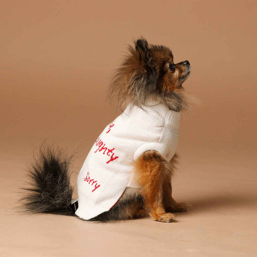 SORRY SANTA CHRISTMAS SWEATER - PRECIOUS PET