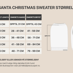 SORRY SANTA CHRISTMAS SWEATER - PRECIOUS PET