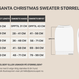 SORRY SANTA CHRISTMAS SWEATER - PRECIOUS PET