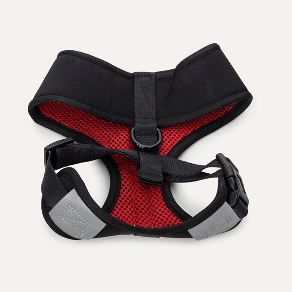 SPORT HARNESS BLACK - PRECIOUS PET