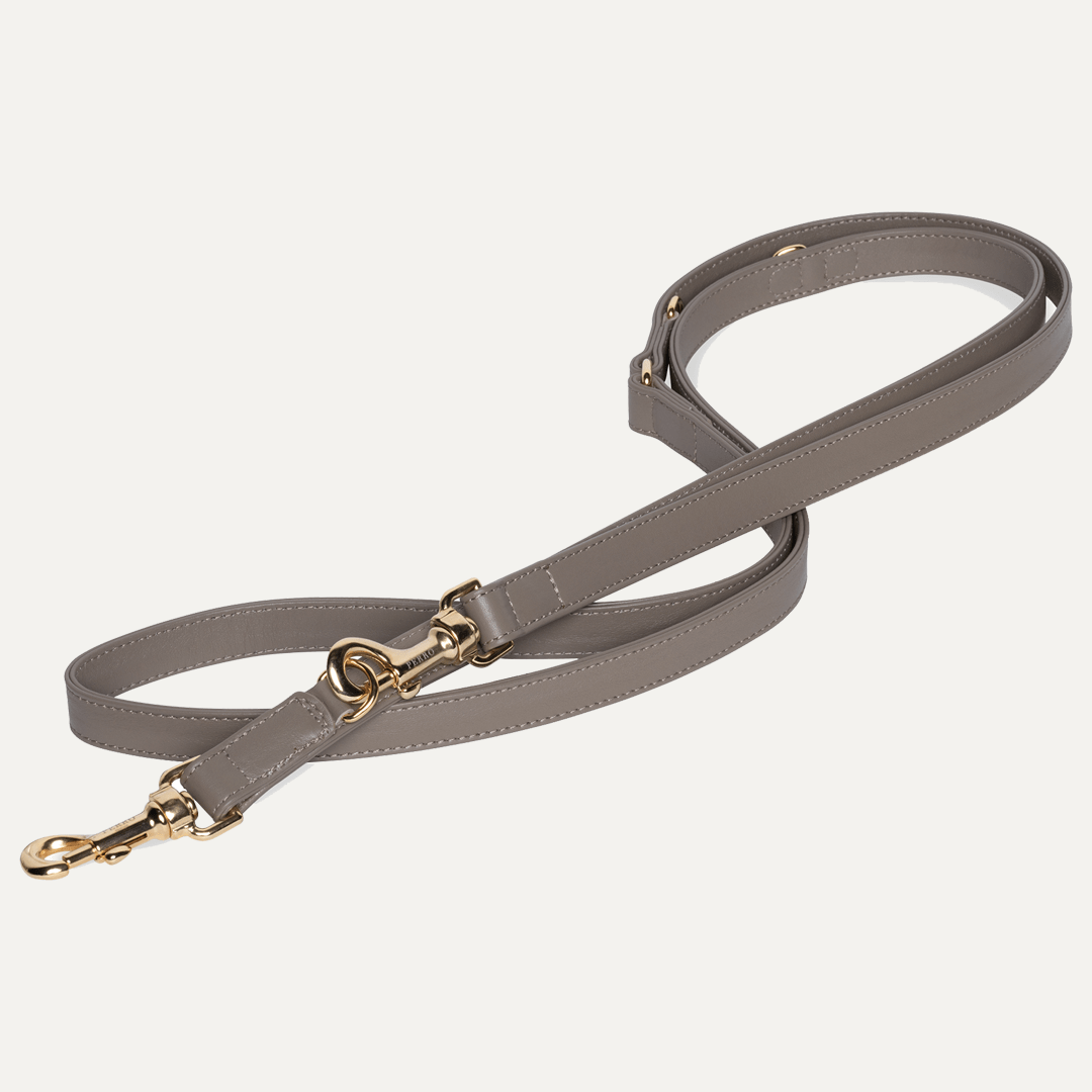 TAUPE LEASH - PRECIOUS PET