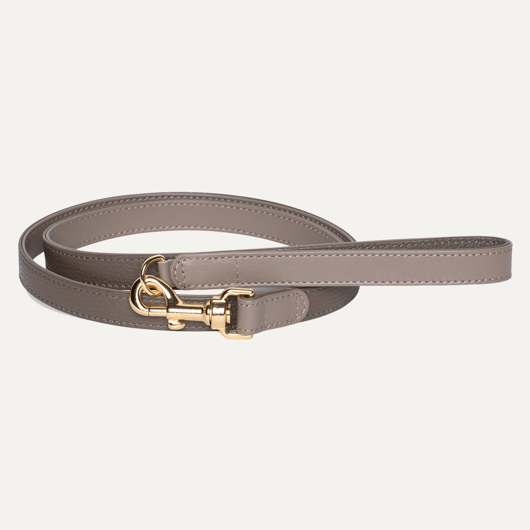 TAUPE LEASH SPECIAL EDITION - PRECIOUS PET