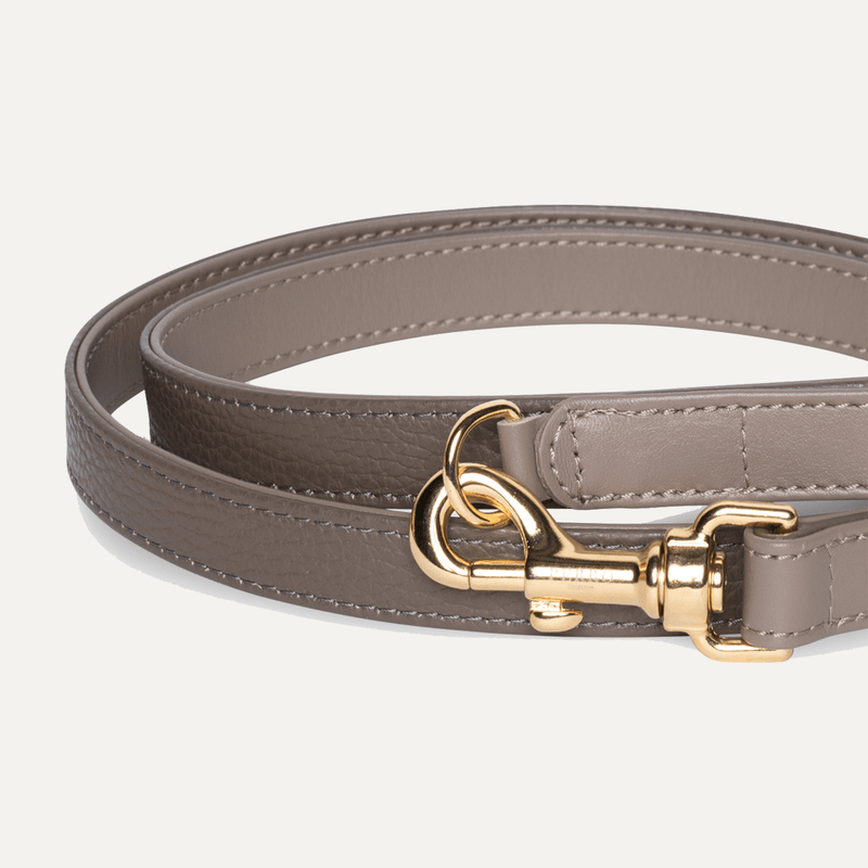 TAUPE LEASH SPECIAL EDITION - PRECIOUS PET