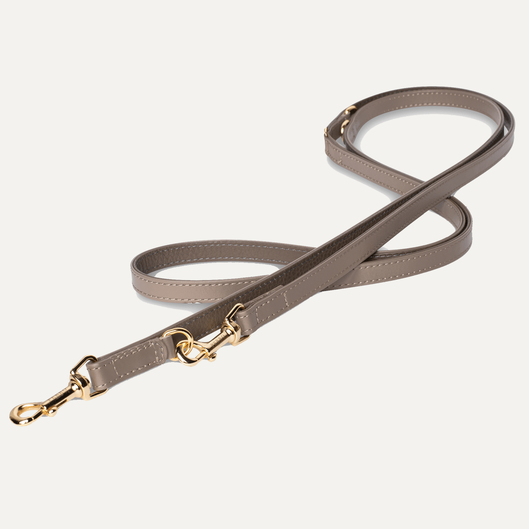 TAUPE LEASH SPECIAL EDITION - PRECIOUS PET