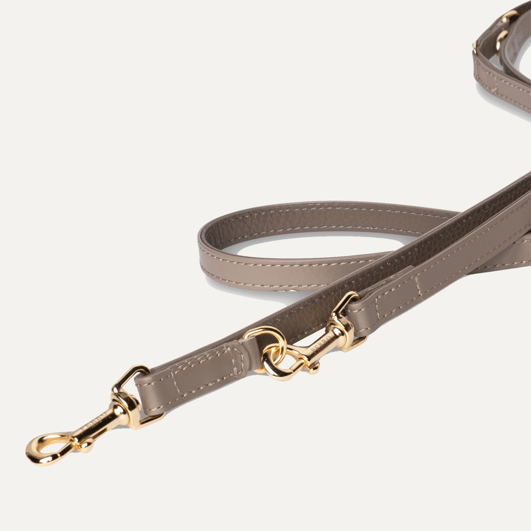 TAUPE LEASH SPECIAL EDITION - PRECIOUS PET