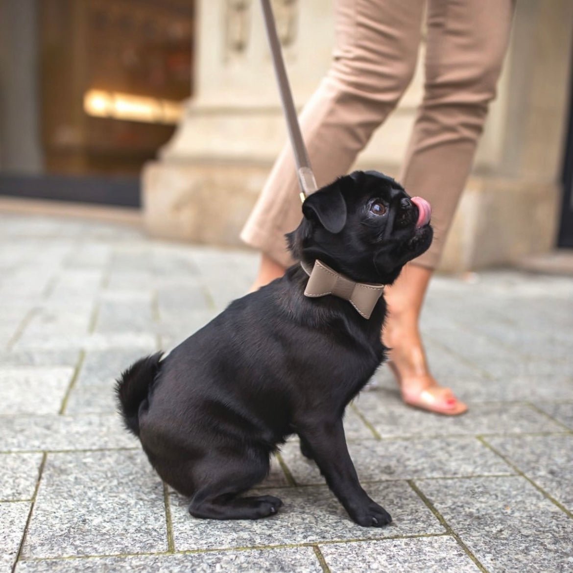 TAUPE LEATHER BOWTIE - PRECIOUS PET