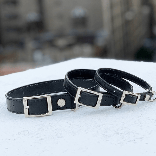 THE TAYLOR COLLAR BLACK - PRECIOUS PET