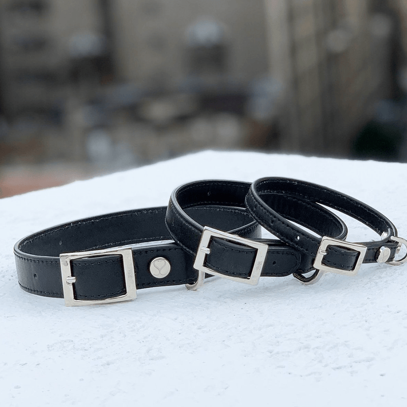 THE TAYLOR COLLAR BLACK - PRECIOUS PET