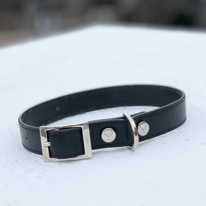 THE TAYLOR COLLAR BLACK - PRECIOUS PET