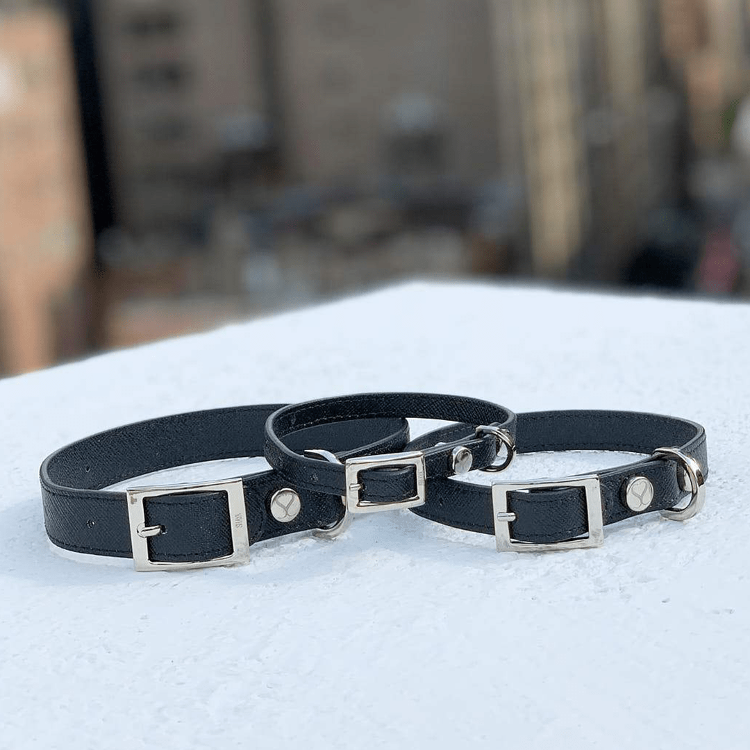 THE TAYLOR COLLAR BLACK - PRECIOUS PET